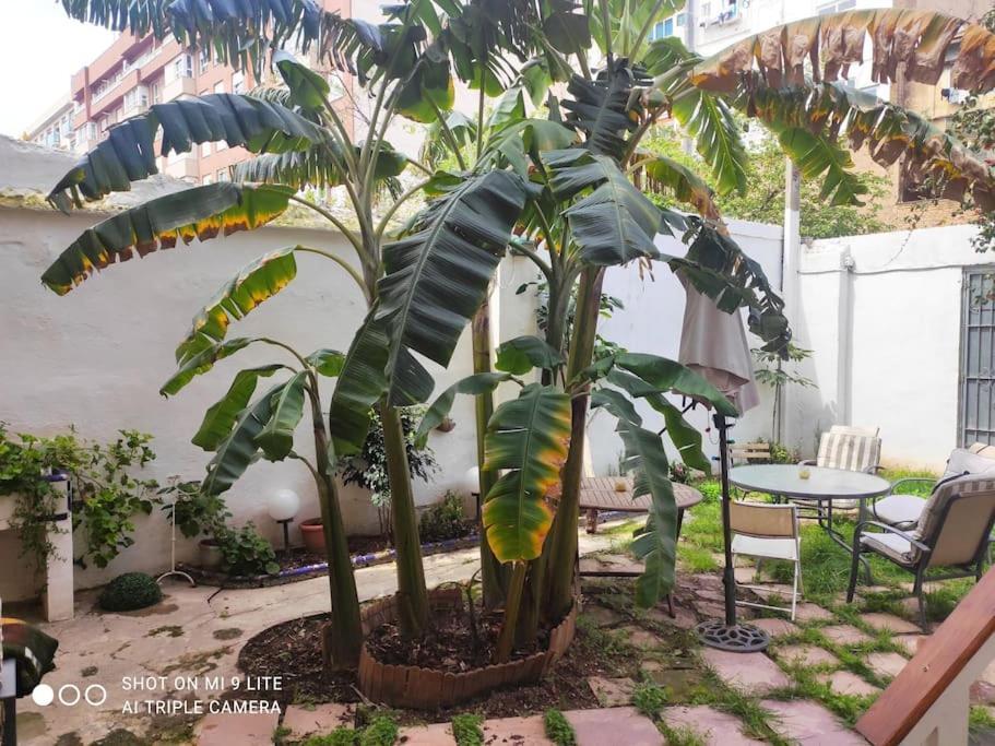 Cozy Apartamento En Ruzafa Para 2-4 Personas Con Aire Acondicionado Y Salida Directa A Terraza Valenza Esterno foto